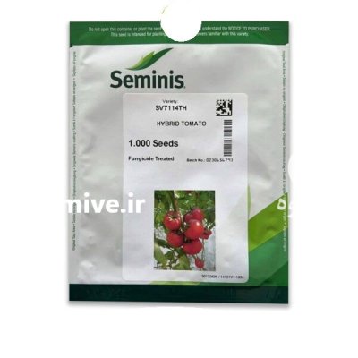 بذر گوجه گلخانه ای 7114 سمینیس در کرمانشاه در گروه خرید و فروش بذر گوجه در یکمیوه -عکس1