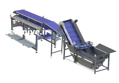 خط بازرسی سورت پیشرفته ماهی میگو در اصفهان در گروه خرید و فروش تجهیزات ماهی در یکمیوه -عکس2