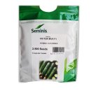 بذر خیار ویکتور سمینیس در کرمانشاه در گروه خرید و فروش بذر خیار در یکمیوه