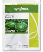 بذر هندوانه بارلو سینجنتا در جاجرم در گروه خرید و فروش بذر هندوانه در یکمیوه