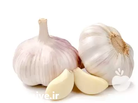 فروش سیر سلایس شده و سیر در همدان در گروه خرید و فروش سیر در یکمیوه -عکس1