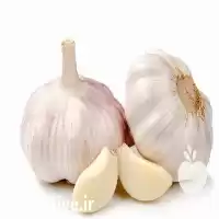 فروش سیر سلایس شده و سیر در همدان در گروه خرید و فروش سیر در یکمیوه