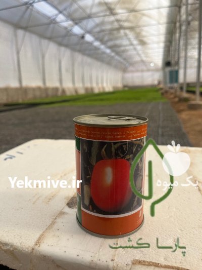 فروش نشا کاهو کلم انواع ارقام در اصفهان در گروه خرید و فروش نشا در یکمیوه -عکس2