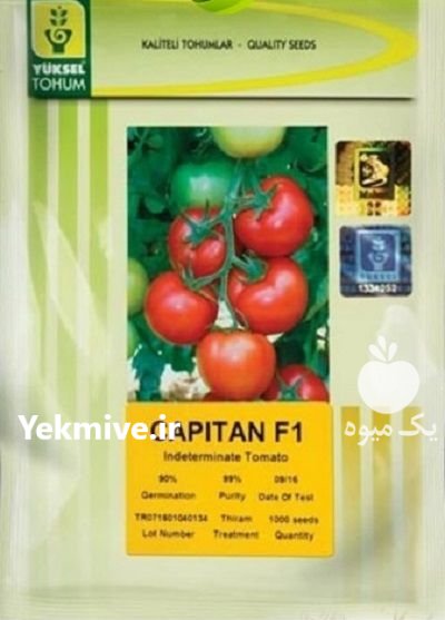 بذر گوجه کاپیتان در بیرجند در گروه خرید و فروش بذر گوجه در یکمیوه -عکس1