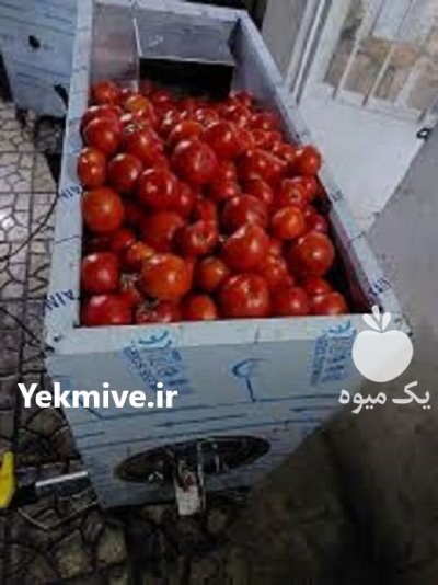 فروش دستگاه آبگیری گوجه فرنگی تولید در مشهد در گروه خرید و فروش دستگاه کشاورزی در یکمیوه -عکس2