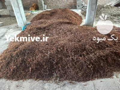 سبزه انگور ازوم یمیشی در باروق در گروه خرید و فروش انگور در یکمیوه -عکس2