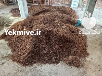 سبزه انگور ازوم یمیشی در باروق در گروه خرید و فروش انگور در یکمیوه -عکس3