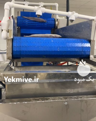 خط کامل فرآوری ماهی در اصفهان در گروه خرید و فروش تجهیزات ماهی در یکمیوه -عکس1