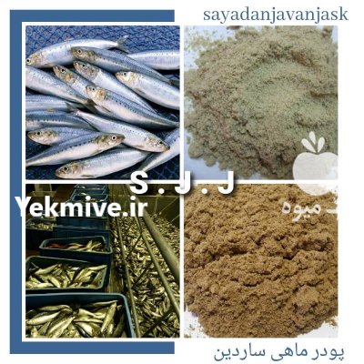 پودر ماهی متوتا و ساردین در نظرآباد در گروه خرید و فروش انواع ماهی در یکمیوه -عکس1