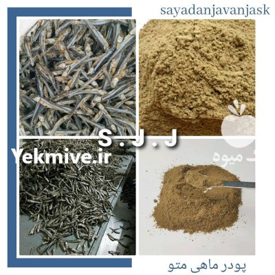 پودر ماهی متوتا و ساردین در نظرآباد در گروه خرید و فروش انواع ماهی در یکمیوه -عکس2