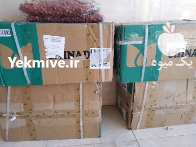 قطره چکان چاینا 8 لیتر در مراغه در گروه خرید و فروش دستگاه آبیاری در یکمیوه -عکس3