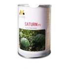 بذر هندوانه میکادو گرد ساترن در بیرجند در گروه خرید و فروش بذر هندوانه در یکمیوه