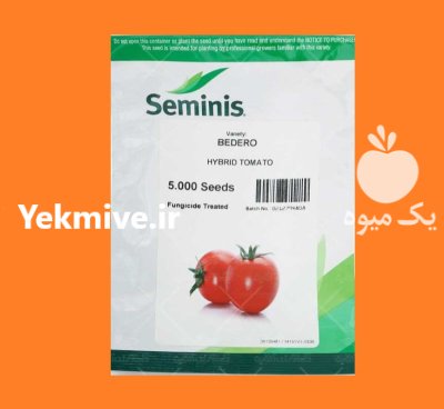 بذر گوجه فرنگی سمینیس بدرو بذر در زاهدان در گروه خرید و فروش بذر گوجه در یکمیوه -عکس1