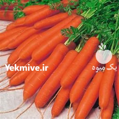 بذر هویج نانتس سوبا در آواجیق در گروه خرید و فروش بذر هویج در یکمیوه -عکس1