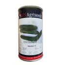 بذر خیار Mahan بذر خیار ماهان در اصفهان در گروه خرید و فروش بذر خیار در یکمیوه