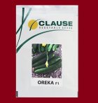 بذر خیار OREKA F 1 کلوز فرانسه در بوشهر در گروه خرید و فروش بذر خیار در یکمیوه