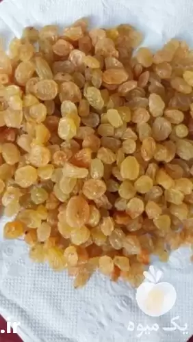 فروش عمده کشمش بازرگانی شهدینا در ملایر در گروه خرید و فروش آجیل در یکمیوه -عکس1