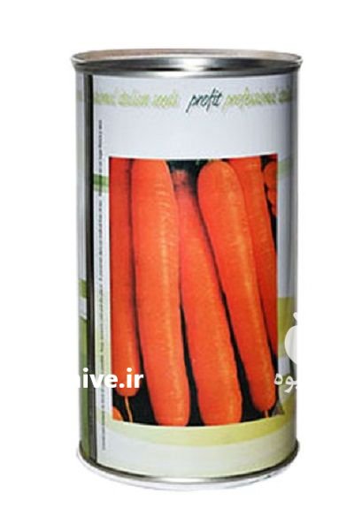 بذر هویج سید ایتالیا در قم در گروه خرید و فروش بذر هویج در یکمیوه -عکس1