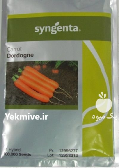 بذر هویج دورد گن در شهرجدید هشتگرد در گروه خرید و فروش بذر هویج در یکمیوه -عکس1