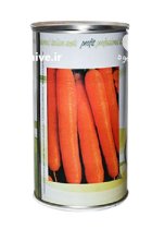 بذر هویج سید ایتالیا در قم در گروه خرید و فروش بذر هویج در یکمیوه