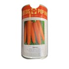 بذر هویج پوپ هلند در اندوهجرد در گروه خرید و فروش بذر هویج در یکمیوه