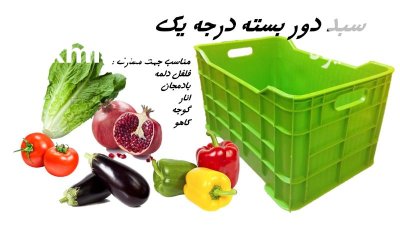سبد گلخانه و سورتینگ در الیگودرز در گروه خرید و فروش انواع سبد در یکمیوه -عکس1