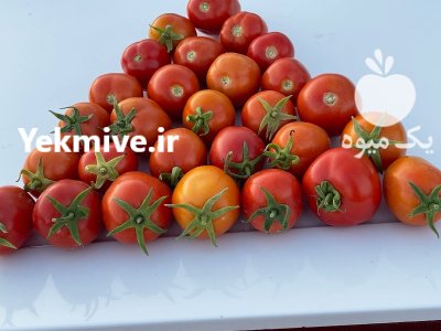 خرید فروش محصولات صیفی جات در شیراز در گروه خرید و فروش محصولات صیفی در یکمیوه -عکس1