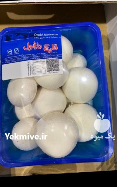 تامین کننده محصولات کشاورزی در دزفول در گروه خرید و فروش سبزی های برگی در یکمیوه -عکس2