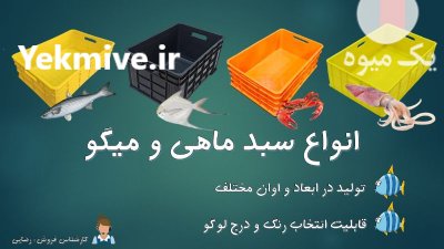 سبد ماهی بزرگ سبد ماهی مرکب در قشم در گروه خرید و فروش تجهیزات ماهی در یکمیوه -عکس1