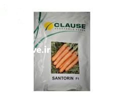 فروش بذر هویج سنتورین کلوز در بردسکن در گروه خرید و فروش بذر هویج در یکمیوه -عکس1