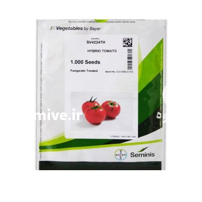 بذر گوجه گلخانه ای 4224 سمینیس در باغین در گروه خرید و فروش بذر گوجه در یکمیوه -عکس1