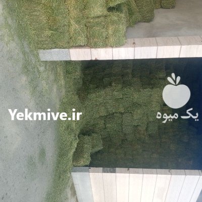 یونجه قالب و خورد شده در تهران در گروه خوراک دام و طیور در یکمیوه -عکس3