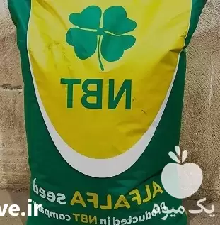 قیمت خرید بذر یونجه رنجر روکشدار در تهران در گروه خرید و فروش بذر یونجه در یکمیوه -عکس1