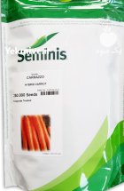 فروش بذر هویج کارازو در اقلید در گروه خرید و فروش بذر هویج در یکمیوه