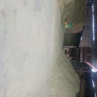 یونجه قالب و خورد شده در تهران در گروه خوراک دام و طیور در یکمیوه