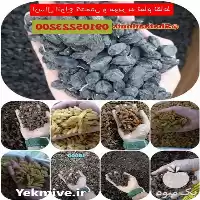 قیمت خرید کشمش مویز خوراکی در خلیل آباد در گروه خرید و فروش آجیل در یکمیوه