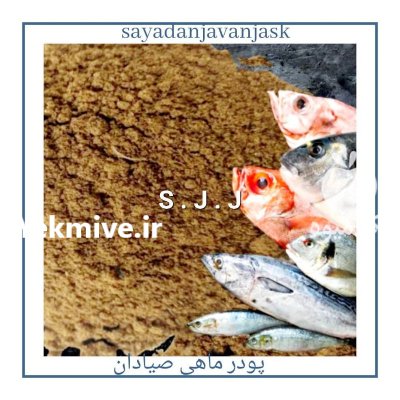 پودر ماهی ساردین در کرج در گروه خرید و فروش انواع ماهی در یکمیوه -عکس1