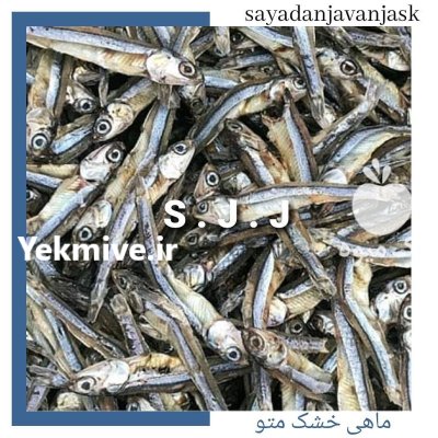 پودر ماهی متوتا در اردبیل در گروه خرید و فروش انواع ماهی در یکمیوه -عکس2