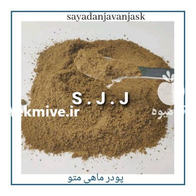 پودر ماهی متوتا در اردبیل در گروه خرید و فروش انواع ماهی در یکمیوه -عکس4