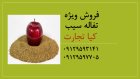 فروش ویژه تفاله سیب در تهران در گروه خوراک دام و طیور در یکمیوه