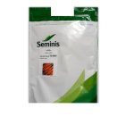 بذر هویج کاروجو سمینیس در جاجرم در گروه خرید و فروش بذر هویج در یکمیوه