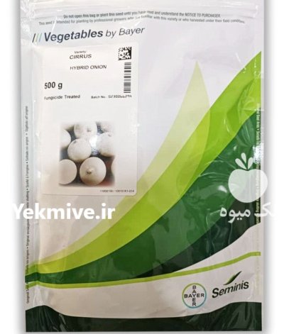 بذر پیاز سایروس در عنبرآباد در گروه خرید و فروش بذر پیاز در یکمیوه -عکس1