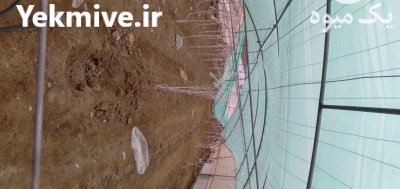 سازه گلخانه دست دوم در رضویه در گروه خرید و فروش سوله و سازه گلخانه در یکمیوه -عکس4