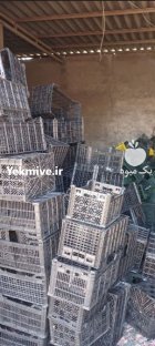 خرید سبد میوه و کارتن موزی در اصفهان در گروه خرید و فروش انواع بسته بندی کارتن در یکمیوه