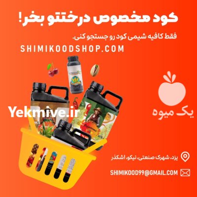 کود مخصوص سیر پیاز گالن لیتری در اردبیل در گروه خرید و فروش انواع کود کشاورزی در یکمیوه -عکس1