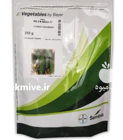 بذر خیار نادا در شهرجدید هشتگرد در گروه خرید و فروش بذر خیار در یکمیوه -عکس1