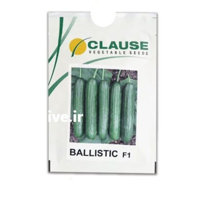 بذر خیار بالستیک کلوز در پیش قلعه در گروه خرید و فروش بذر خیار در یکمیوه -عکس1