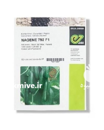 بذر خیار گلخانه ای ناگین در بار  در گروه خرید و فروش بذر خیار در یکمیوه -عکس1