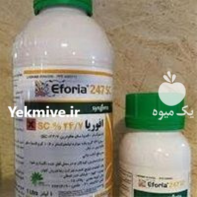 سم حشره کش افوریا در بار  در گروه خرید و فروش انواع سم در یکمیوه -عکس1