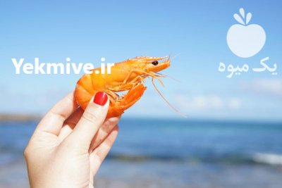 سیستم شستشوی میگو و ماهی در اصفهان در گروه خرید و فروش تجهیزات ماهی در یکمیوه -عکس1